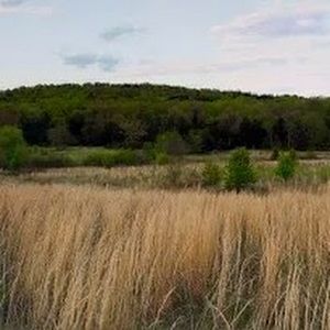 Meet your Posher, Christy